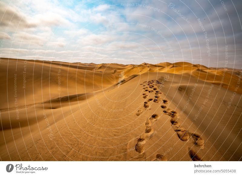 it comes to nothing Freedom sand dune Exceptional Tracks Dunes Swakopmund Gorgeous duene magical Impressive Vacation & Travel Sky Walvis bay Warmth Adventure