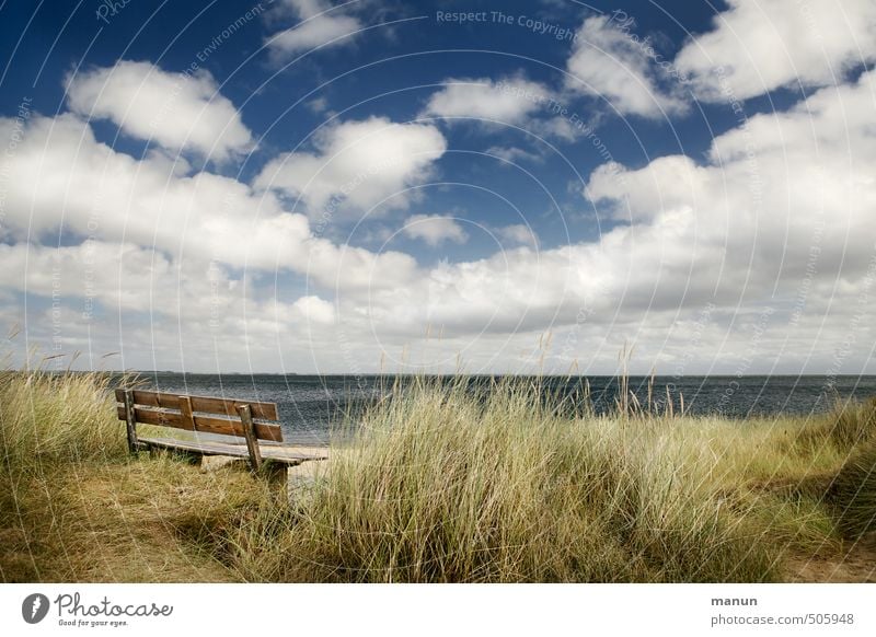 Frisian bench Nature Landscape Sky Clouds Weather Beautiful weather Coast Beach Bay North Sea Ocean Island Bench Calm Relaxation Experience Vacation & Travel