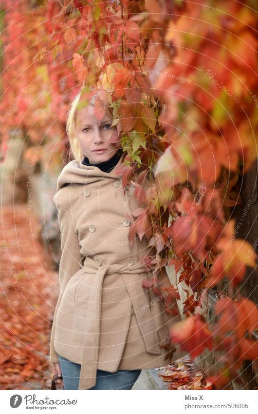 Red wine Human being Feminine Young woman Youth (Young adults) 1 18 - 30 years Adults Autumn Plant Leaf Garden Faded Blonde Beautiful Virginia Creeper Coat Vine