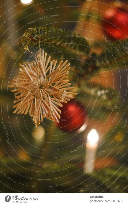 Straw star on Christmas tree (3) decoration Decoration Christmas & Advent Tree christmas tree Christmas tree decorations Light Illuminate straw star Stars