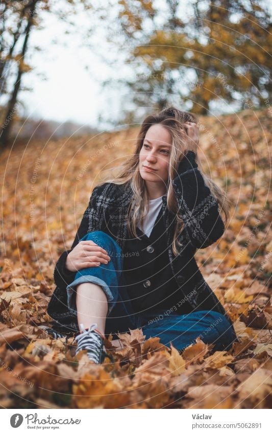 Smiling brunette sits in a pile of colorful leaves in an oak forest and touches her hair. Candid portrait of young realistic woman in autumn season clothes Girl