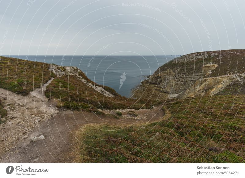 Hiking path at coast near Cap de la Chevre with beautiful heather covered landscape, Crozon, Brittany, France sea brittany cliff beach travel france water