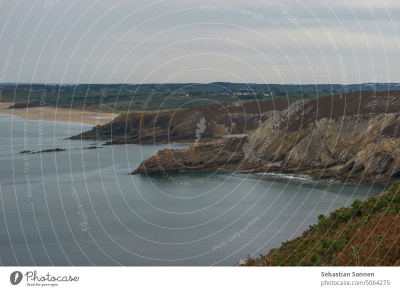 Coast near Cap de la Chevre with beautiful heather covered landscape, Crozon, Parc naturel regional d'Armorique, Brittany, France coast sea brittany cliff