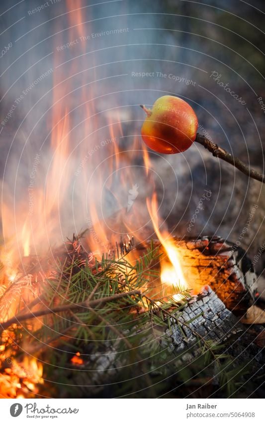 Baked apple by the campfire Fire Apple Hot Fireplace Flame Burn Orange Embers Wood Warmth Glow Yellow
