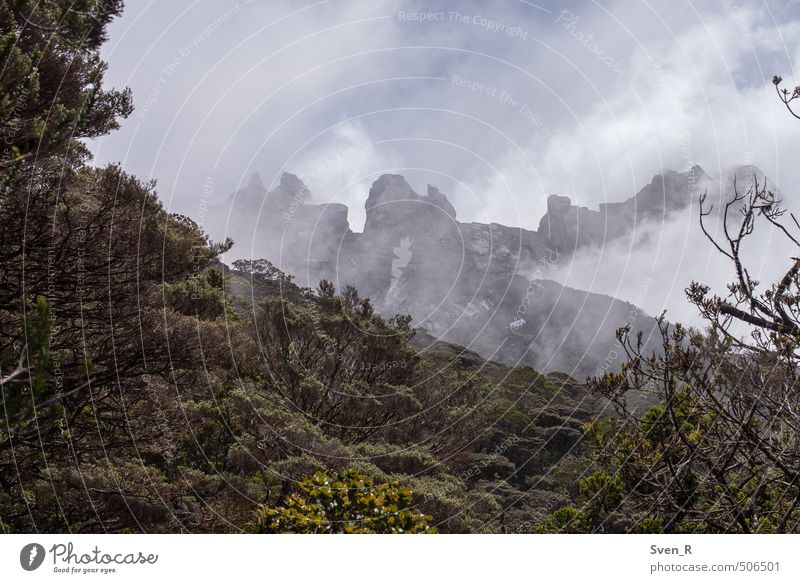 Gunung Kinabalu Nature Landscape Clouds Mountain Mount Kinabalu Peak Exceptional Sharp-edged Fantastic Fear of heights Dangerous Colour photo Day