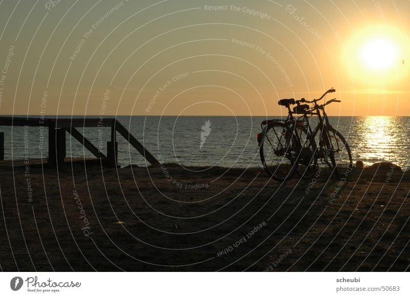 Together Bicycle Sunset Events Beach Water Ocean Romance