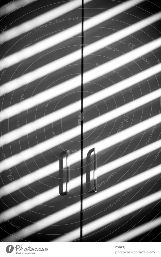 zebra cabinet Furniture Cupboard handle Wardrobe door Exceptional Dark Sharp-edged Simple Infinity Cold Black White Serene Calm Stripe striped look
