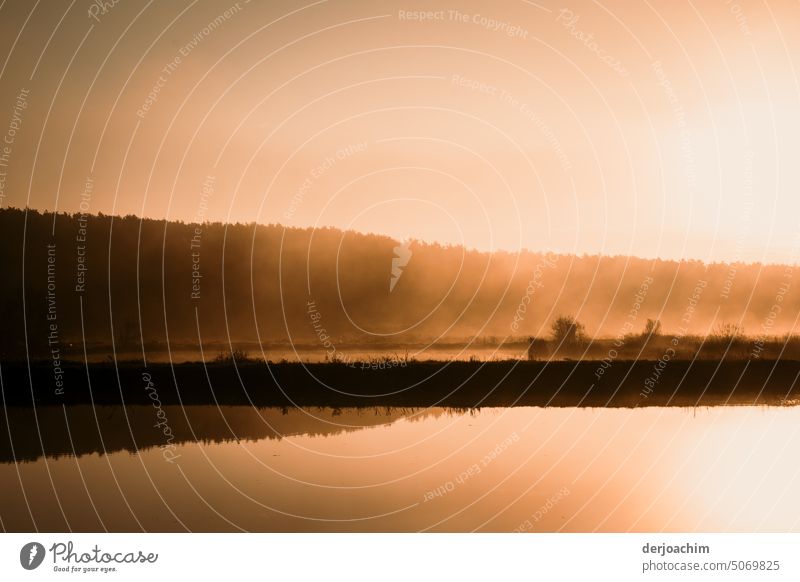 Morning hour at the ponds. Nature Exterior shot Reflection Surface of water Environment Idyll reflection Pond Calm Water reflection Deserted Landscape Day