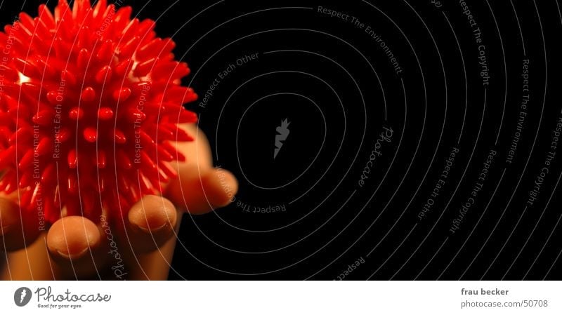 hedgehogs Massage Hedgehog Hand Round Red Black Ball Sphere massage ball Thorn Point