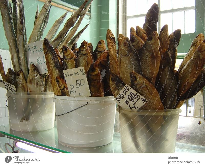 Stockfish | Dried Fish Cod Dried fish Riga Latvia Dried cod Markets food