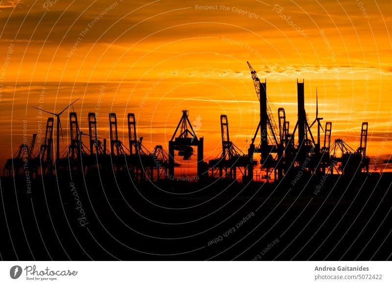 Harbour cranes in Hamburg harbour at sunset under light cloudy sky, horizontal port cranes Dockside crane Crane Sunset Sunrise Clouds Sky Red Yellow Black