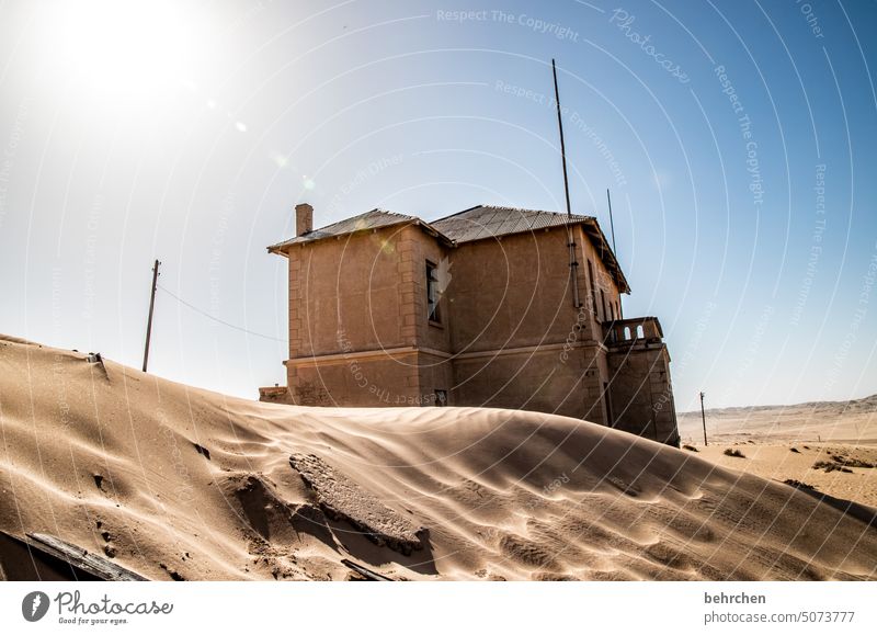 proverbial | built on sand Africa Namibia Desert Wanderlust Far-off places Colour photo Adventure Vacation & Travel especially Impressive Drought Dry