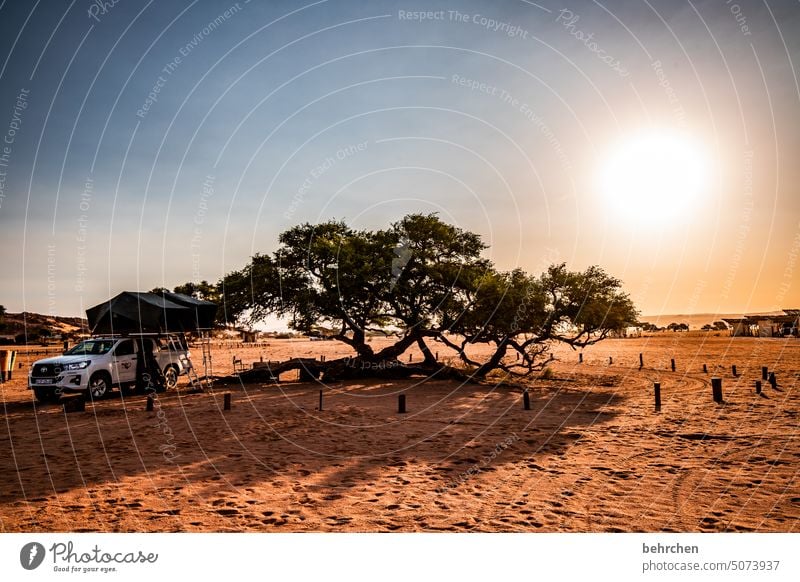 when evening comes Sossusvlei Sesriem Camping Wilderness Camping site camp campsite roof tent Tent jeep Sunlight Shadow Light Wanderlust travel Far-off places