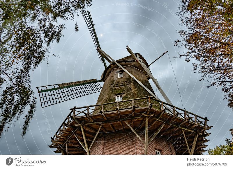 The landmark of Hinte, the upper part of the three-storey gallery Dutchman in the morning overcast sky Mill Windmill Historic Old Landmark Attraction