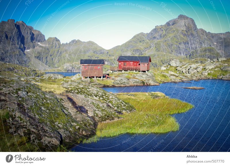 Lofoten XVII Healthy Well-being Contentment Senses Relaxation Calm Vacation & Travel Tourism Trip Adventure Far-off places Freedom Nature Landscape Rock
