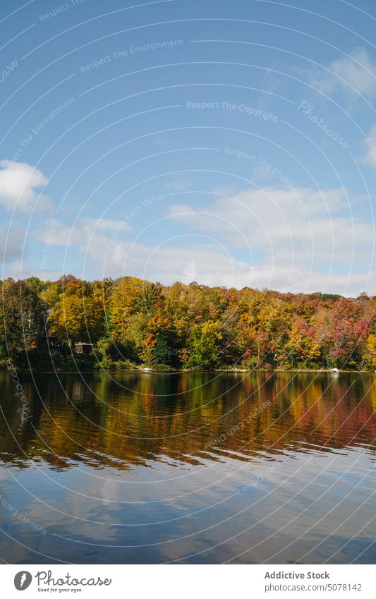 Lake in autumn forest reflecting trees lake nature water countryside coniferous scenic botany landscape picturesque atmosphere idyllic breathtaking growth woods