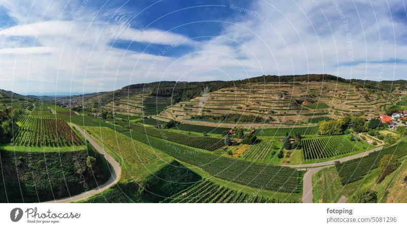 Aerial view of Schelingen am Kaiserstuhl with view of the vineyards. Schelingen, Vogtsburg am Kaiserstuhl, Breisgau, Black Forest, Freiburg, Baden-Württemberg, Germany.