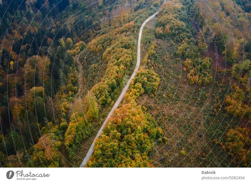 Aerial top view of road through autumn forest in mountains green countryside aerial nature landscape above highway environment roadway scenic drone tree curve