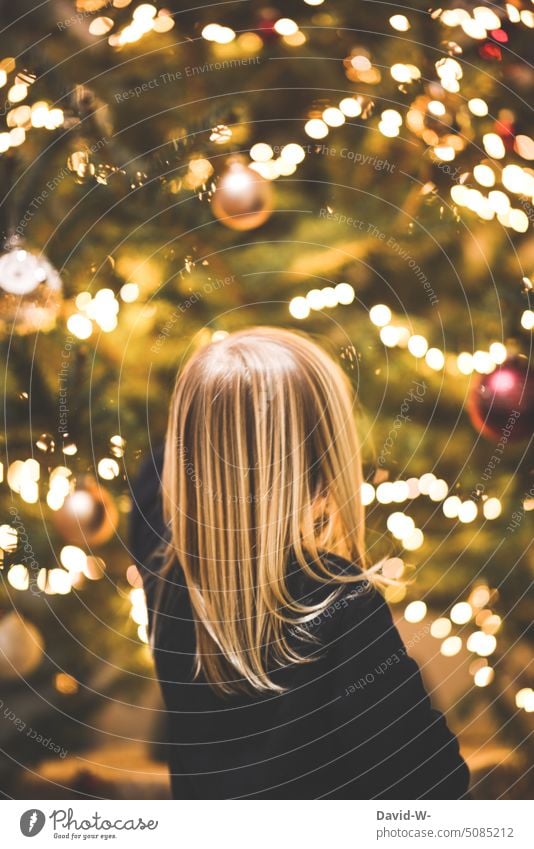 Little girl stands in front of a glowing Christmas tree and looks forward to the Christ Child Christmas & Advent Anticipation Girl Festive Fairy lights