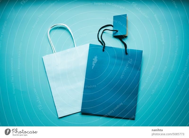 Simple flat lay mockup of two gift bags in blue tones background cool cold white blank copy space negative design simple minimal minimalistic customize tag