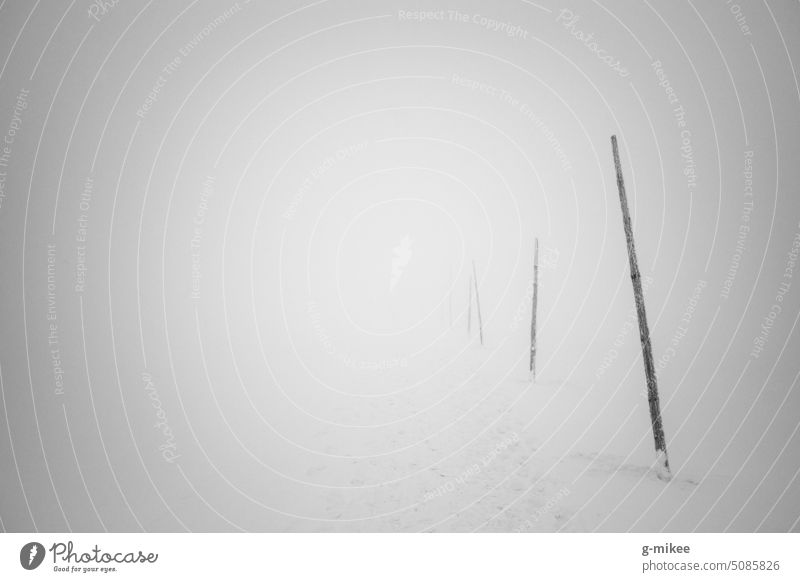 Winter hiking trail in fog Hiking Snow Fog unpromising foggy Black & white photo Deserted Exterior shot Nature Cold Gray Landscape Calm Loneliness Frost