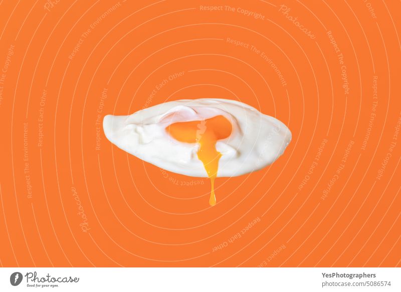 Fried egg isolated on an orange background. Egg yolk dripping abstract breakfast bright close-up color concept cooking copy space creative cuisine cut out cute