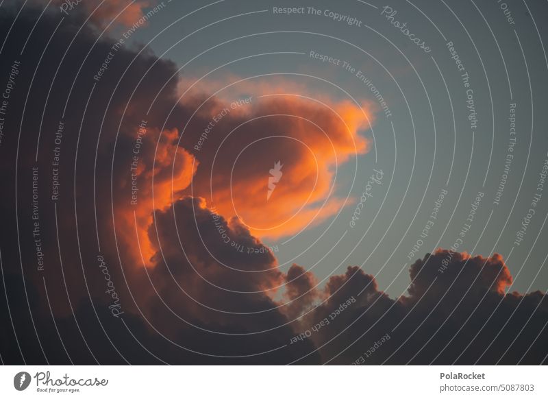 #A0# Orange cloud to sky Sky Heaven Sky blue Celestial bodies and the universe Skyward Canopy (sky) Compass point Pearly Gates clearer in the sky Himmelsstürmer