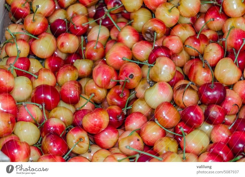 Yellow cherries at a fruit stall in the market background cherry closeup color colorful cuisine delicious diet food fresh freshness gourmet healthy ingredient