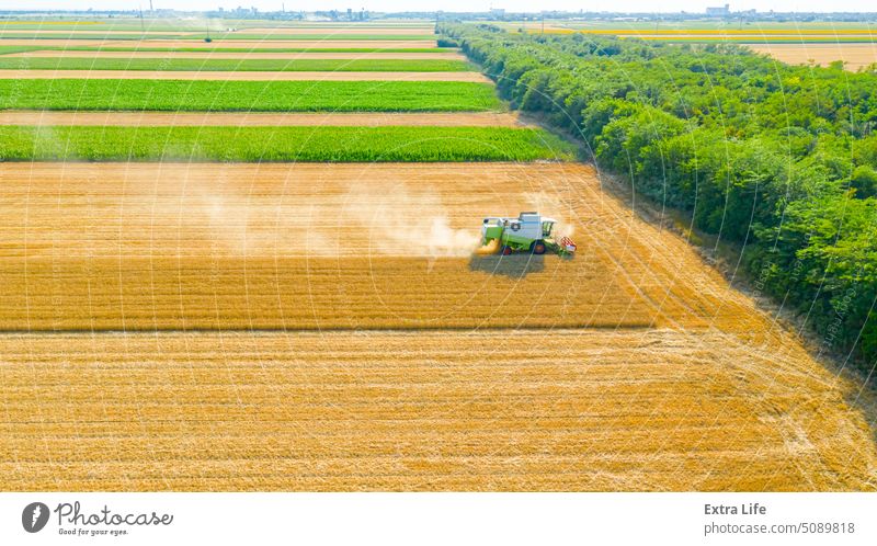 Above view on combine, harvester machine, harvest ripe cereal Aerial Agricultural Agriculture Cereal Combine Country Countryside Crop Cultivated Cultivation Cut