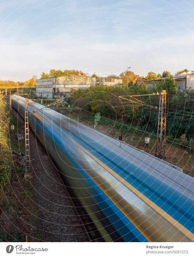 Blue and yellow train passes under a bridge at high speed Train Track Train travel Rail transport Means of transport Public transit Commuter trains Colour photo