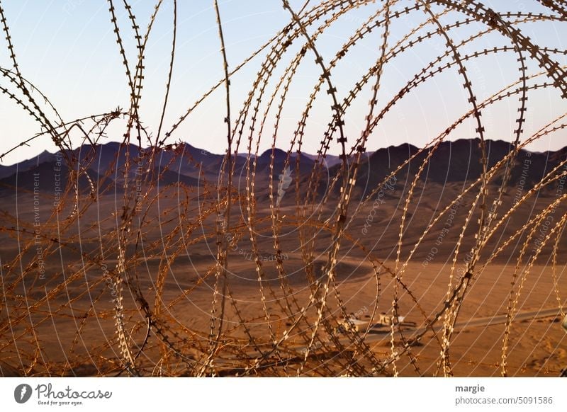 brown barbed wire border