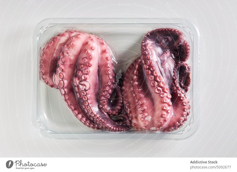Uncooked octopus in plastic container raw uncooked tentacle seafood product organic box fresh natural ingredient nutrition delicious gastronomy edible cuisine