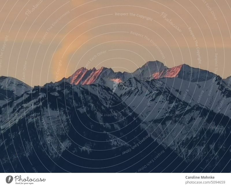 Snow covered mountain peaks shine in the evening sun mountains Peak Evening sun Mountain Alps Exterior shot Rock Deserted Nature Snowcapped peak Environment