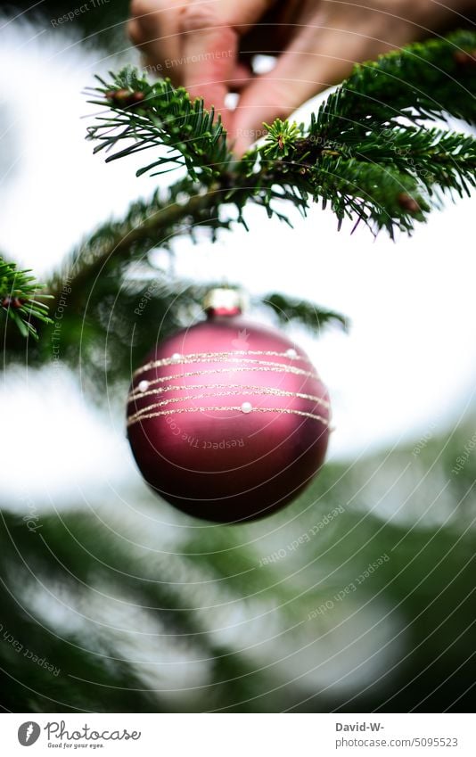 Christmas decorations - hanging Christmas baubles on the Christmas tree Glitter Ball Decoration Festive Christmas mood Advent Moody fir tree Hang up Tradition