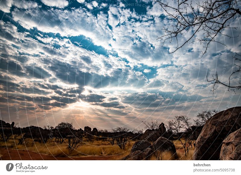 dream clouds - cloud dream Rock Damara land Wilderness Sunset Exterior shot Africa Namibia Landscape Far-off places Wanderlust travel Colour photo