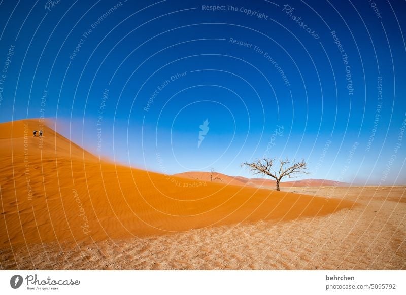 heartland namibia Desert Africa Namibia Far-off places Sossusvlei Sandstorm Dune 45 Sesriem Wanderlust Warmth