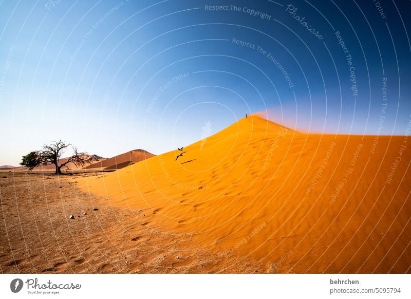 heartland namibia Desert Africa Namibia Far-off places Sossusvlei Sandstorm Dune 45 Sesriem Wanderlust Warmth