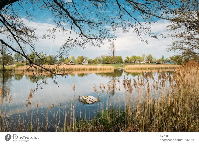 Belarusian Or Russian Wooden House In Village Or Countryside Of Belarus Or Russia Countries With Lake Pond River At Spring Day belarus green scene town wood