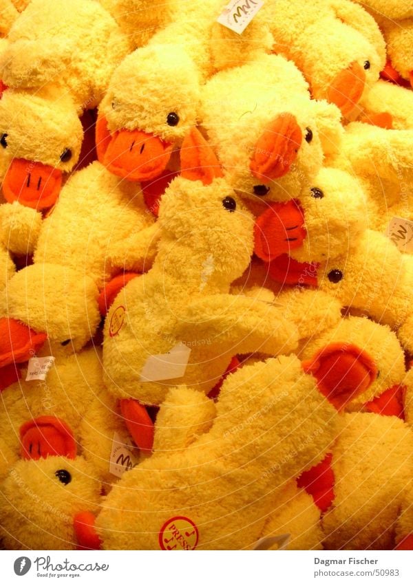 so many ducks Colour photo Infancy Animal Cuddly toy Cute Many Soft Yellow Multiple Cuddling Duck Heap Goods Animal figure