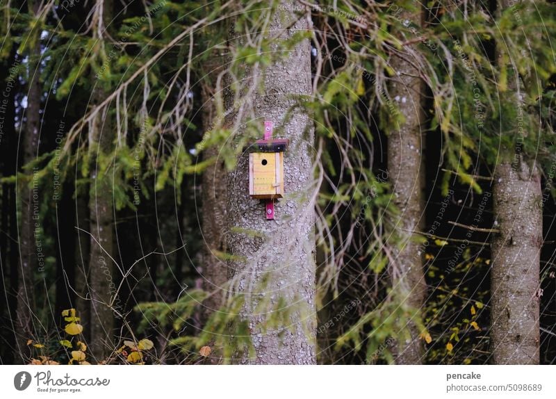 übertrieben | einfamilienhaus Wald Vogelhaus Nistkasten Brutkasten Baum klein Einfamilienhaus Haus Vögel Fortpflanzung