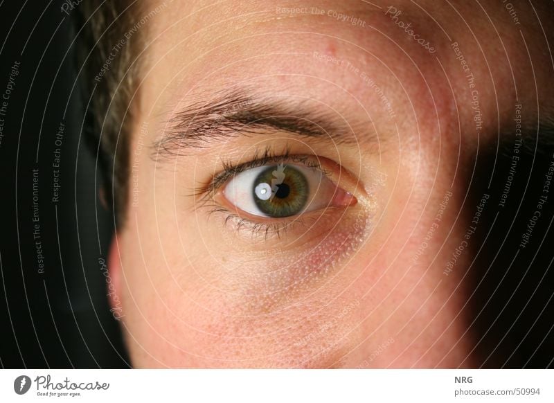 occhio Eyebrow Eyelash Portrait photograph Eyes Looking Perspective Macro (Extreme close-up)