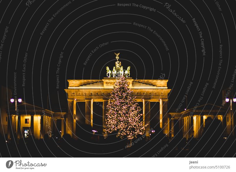 Crowds and lights at the Brandenburg Gate Berlin Landmark Tourist Attraction Germany Quadriga Lighting Christmas & Advent Dark Evening Christmas tree