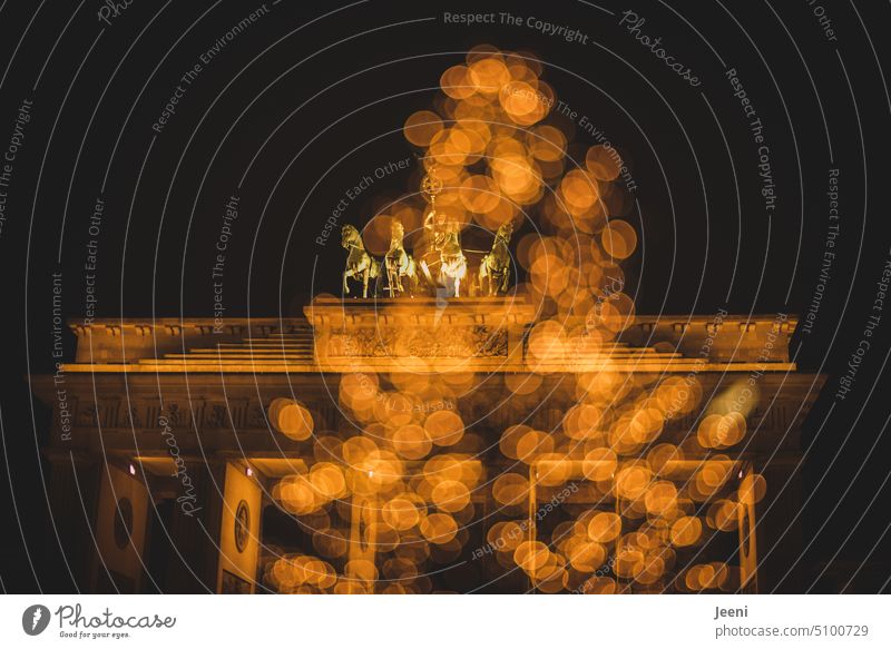 Brandenburg Gate in Christmas light Berlin Landmark Tourist Attraction Germany Quadriga Lighting Christmas & Advent Dark Evening Christmas tree Illuminated