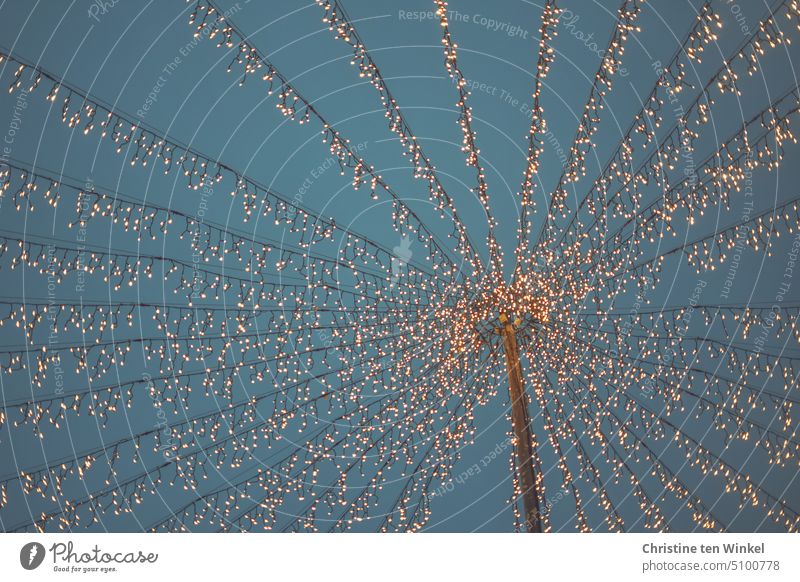 Glittering net of lights against the blue evening sky light net Lighting Fairy lights blue hour Twilight sparkle Illuminate Christmas & Advent Christmas Fair