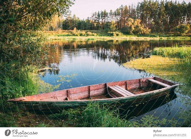 An Elderly People Fishing in Boat Around Forest Stock Photo