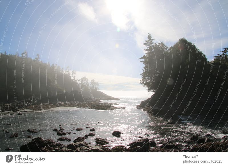 MacKenzie Beach in fog_2 Water Sun Sky Clouds Fog Rock trees Ocean Nature coast Landscape cirrostratus clouds Horizon Summer Pacific Ocean Tofino