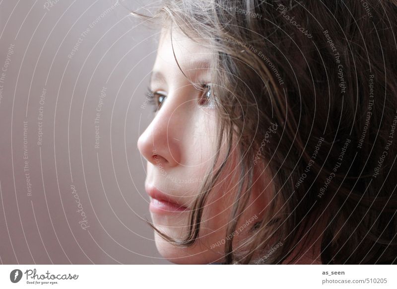 blues Feminine Face 1 Human being 3 - 8 years Child Infancy Brunette Observe Looking Brown Pink Red White Attentive Calm Identity Communicate Moody Colour photo