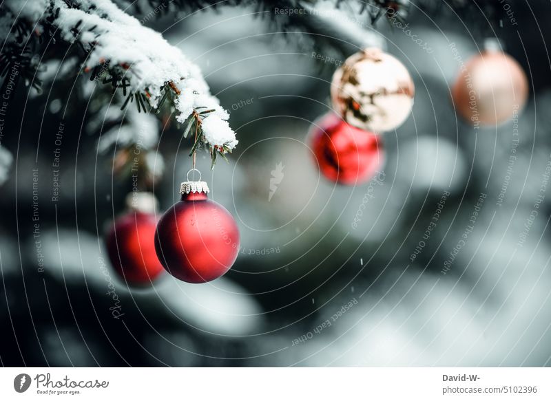 Christmas motif for a Christmas card - Christmas baubles hanging from a fir tree in a winter forest Christmas & Advent Winter Glitter Ball Christmas tree