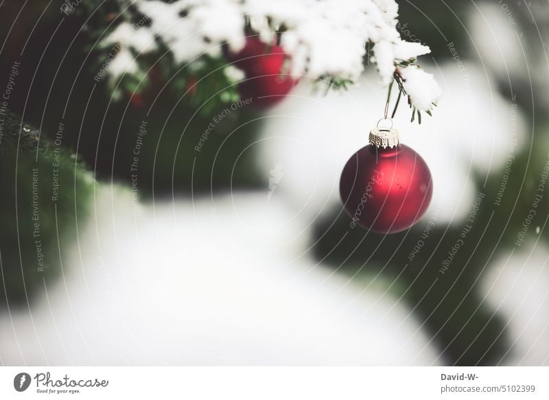 Christmassy - Christmas baubles hanging from a fir tree covered in snow Glitter Ball Christmas & Advent Christmas tree christmas time Snow Christmas motif