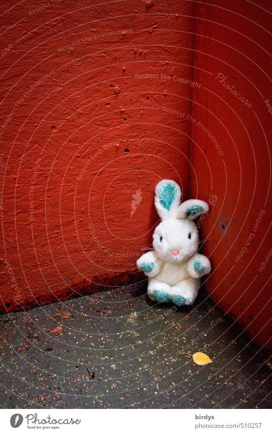 killing me softly Autumn Leaf Wall (barrier) Wall (building) Corner Hare & Rabbit & Bunny 1 Animal Cuddly toy Looking Sit Wait Beautiful Cute Rebellious Gray